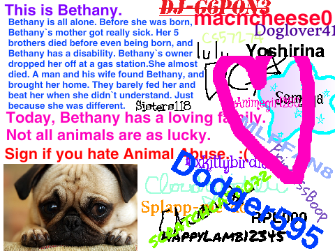 Sign If You Hate Animal Abuse remix remix remix remix remix remix remix remix remix remix rem… remix