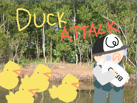 Duck Attack