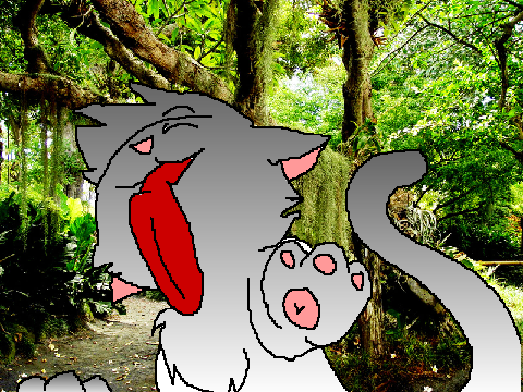 Warrior cat Kit