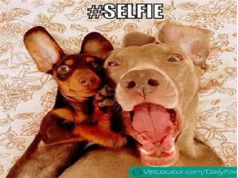 The selfie song ! Luv dis song! remix
