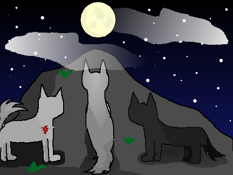 Wolf Pack CCE