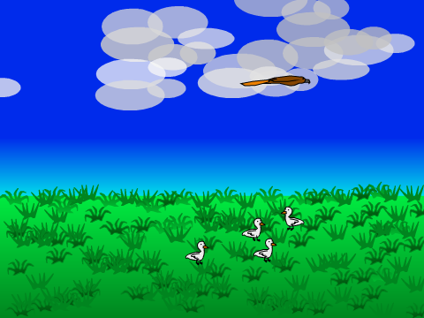 Throw some ducks around