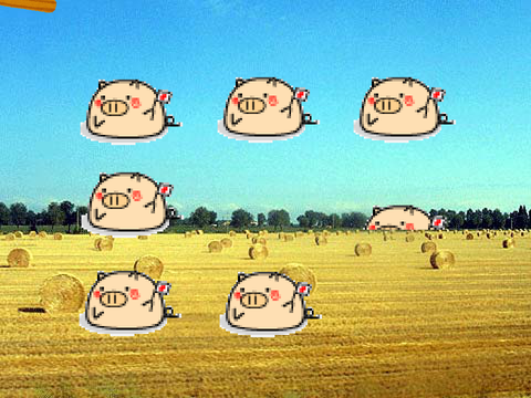 whack a pig