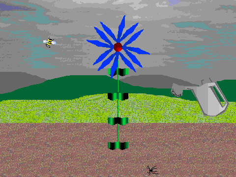 Plant A Flower