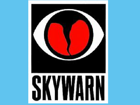 My Logo
