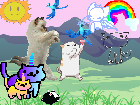 CAT PARTY!!