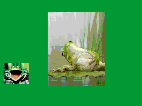 frogzong