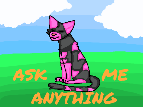 Ask me anything!