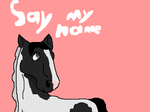 Say My Name || meme Collab Ma Sista!!!