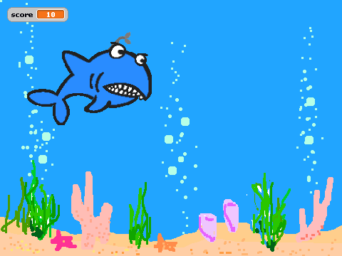 shark bite