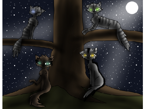 Contest Entry WIP
