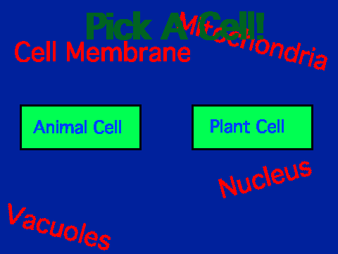 Cell Project