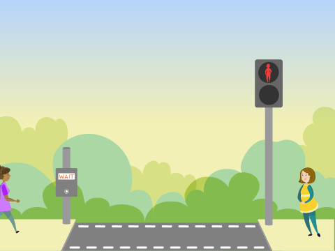pelican crossing solution