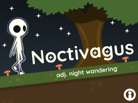 Noctivagus
