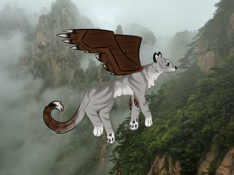 wing cycle animation thing...y