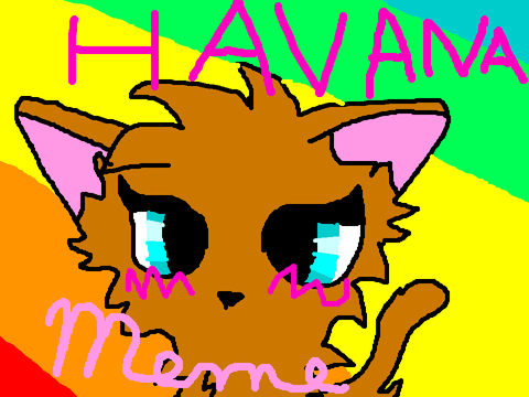 Havana Meme {ORIGINAL!!!!}