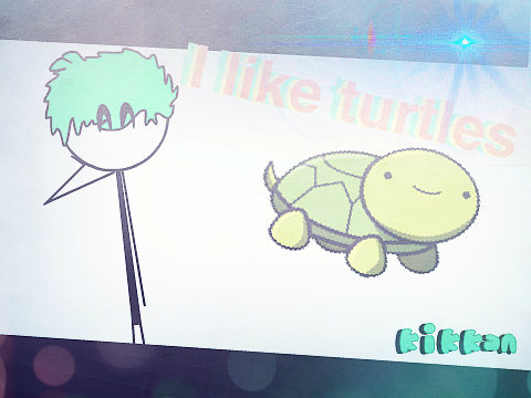 I like turtles