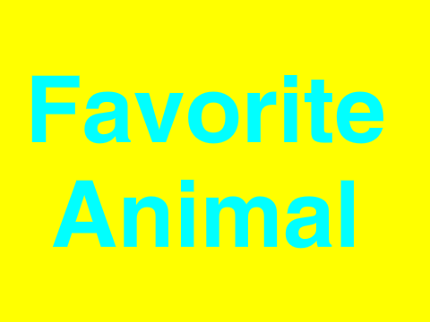 Favorite Animal