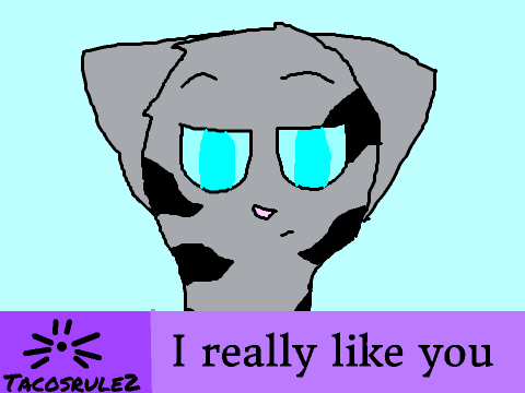 I really like you