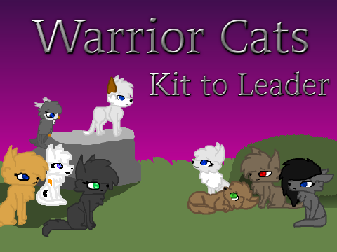 Warrior Cats: Kit to Leader