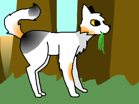 Spottedleaf