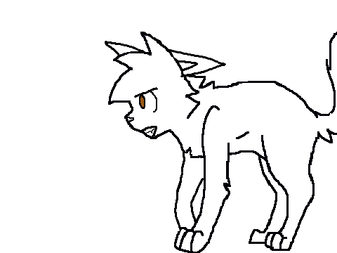 Cat animation