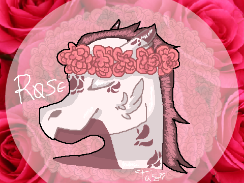 ⚘ Rose ⚘
