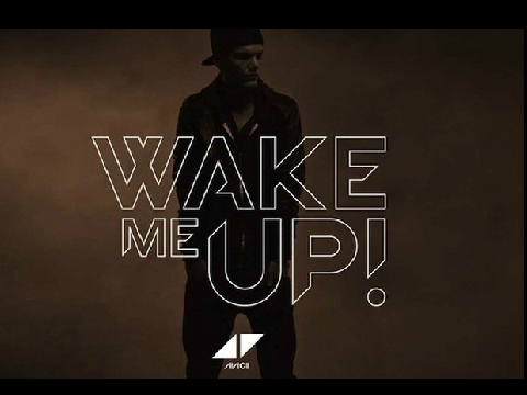  Wake Me Up
