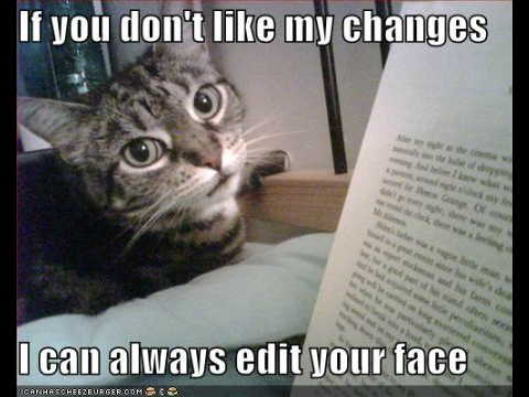 Code 101: Funny Cat Pictures!
