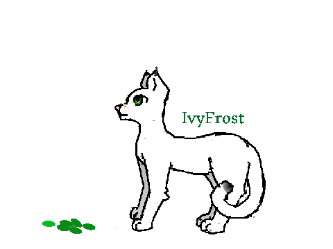 Fern Clan RP- Charecter Template