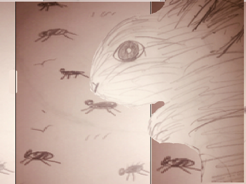 Animated Abstact Pencil Art