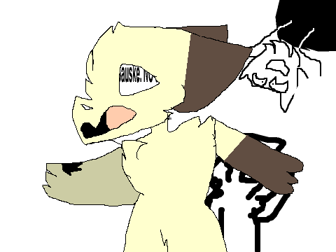 -SECRET-CC-OPEN- remix