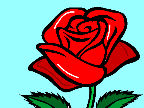 Rose color contest cs407833 entry