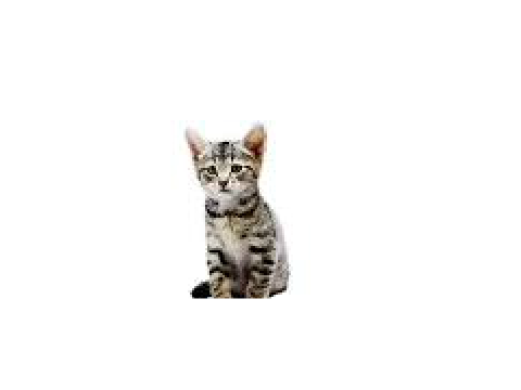 Click to Adopt
