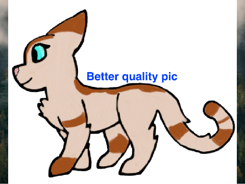 aYOOOO warrior cats aaaaa remix