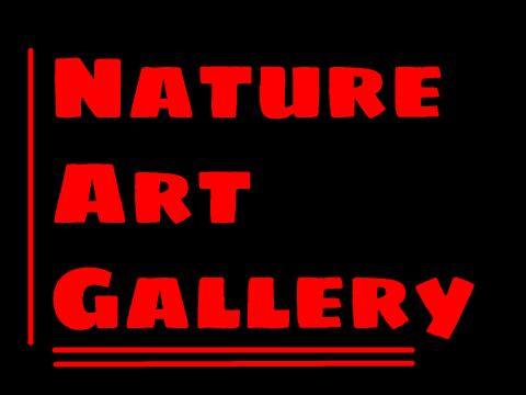 Nature Art Gallery