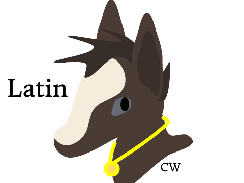 LaTiN fAnArT