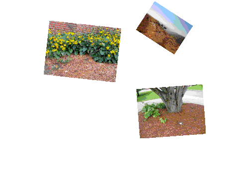 Photo Library v1.0