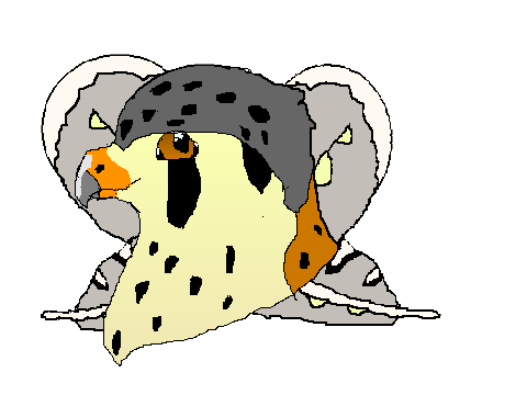 my new profile photo