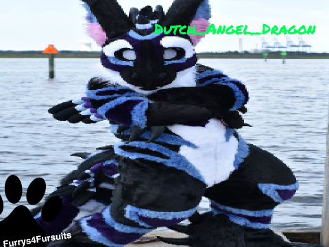 Sign If you love Dutch Angle Dragons!!! remix