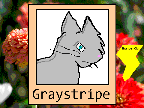 Warriors Graystripe