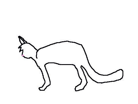 the never ending cats!!!!!!!!!!!!!!!!!!!!!!!!!!!