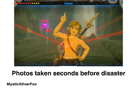 Legend of Zelda Breath of the Wild memes