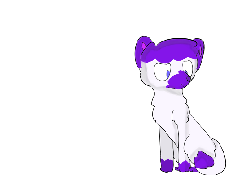 Shade test?????????????
