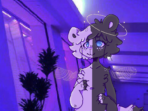 ・゜゜・．acethetic ・゜゜・．