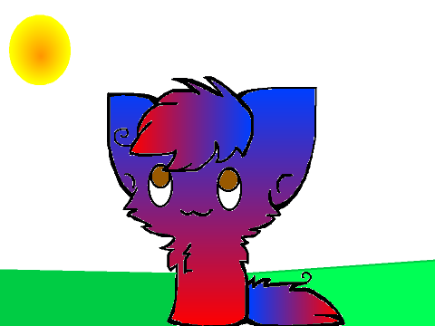 kitty CCE