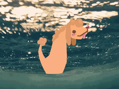 + doggi +