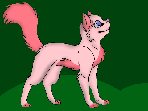 AT for @LordMeerkat