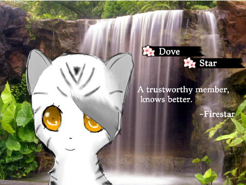 Dovestar