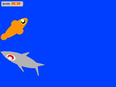 shark chases the fish